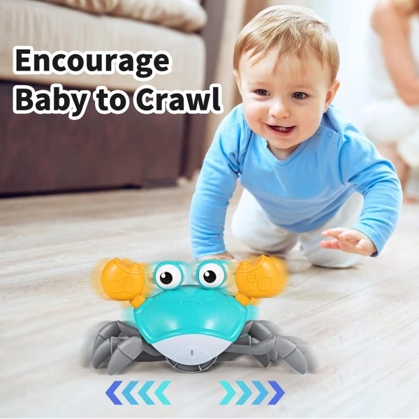 Crab Baby Toy For Crawling Modern And Premium Quality - Online Buy Kar