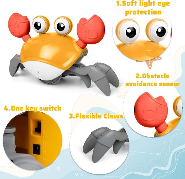 Crab Baby Toy For Crawling Modern And Premium Quality - Online Buy Kar