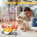 Crab Baby Toy For Crawling Modern And Premium Quality - Online Buy Kar