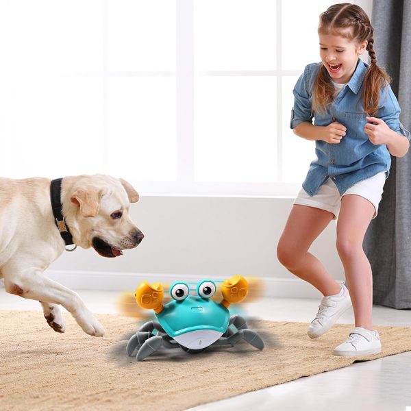 Crab Baby Toy For Crawling Modern And Premium Quality - Online Buy Kar